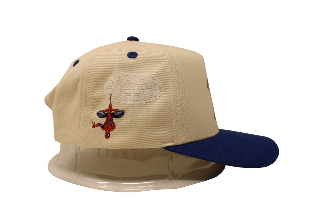 Spidey Brand New Day