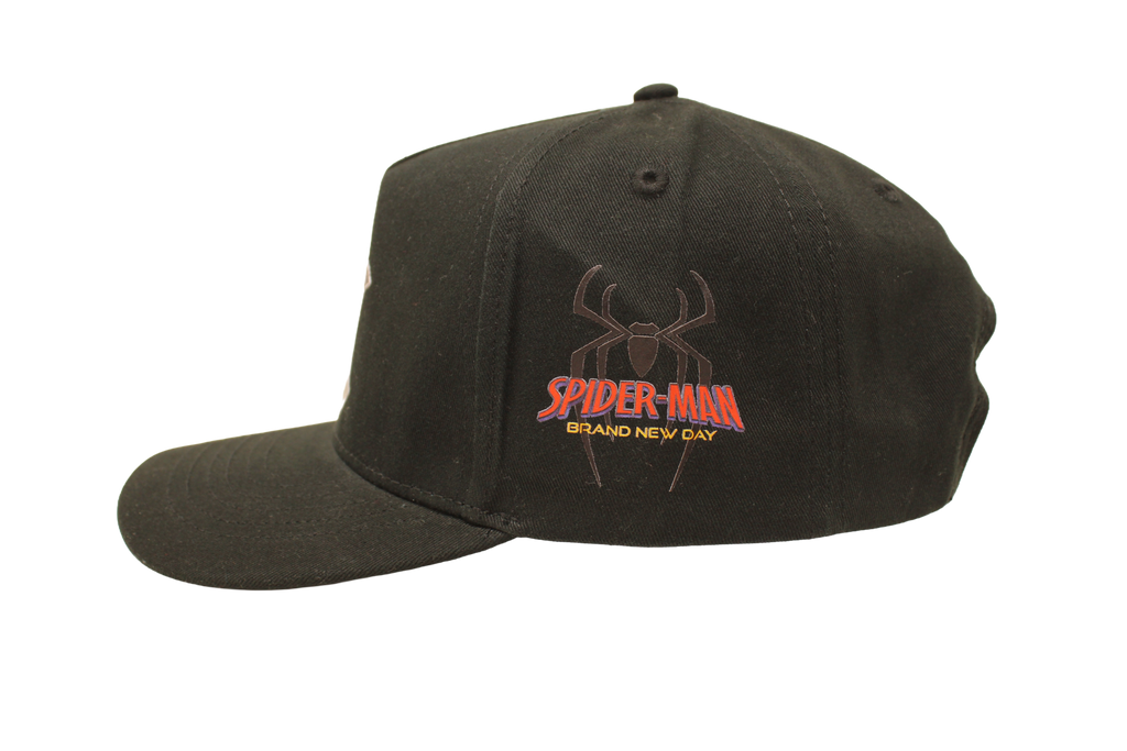 Spidey Brand New Day NY