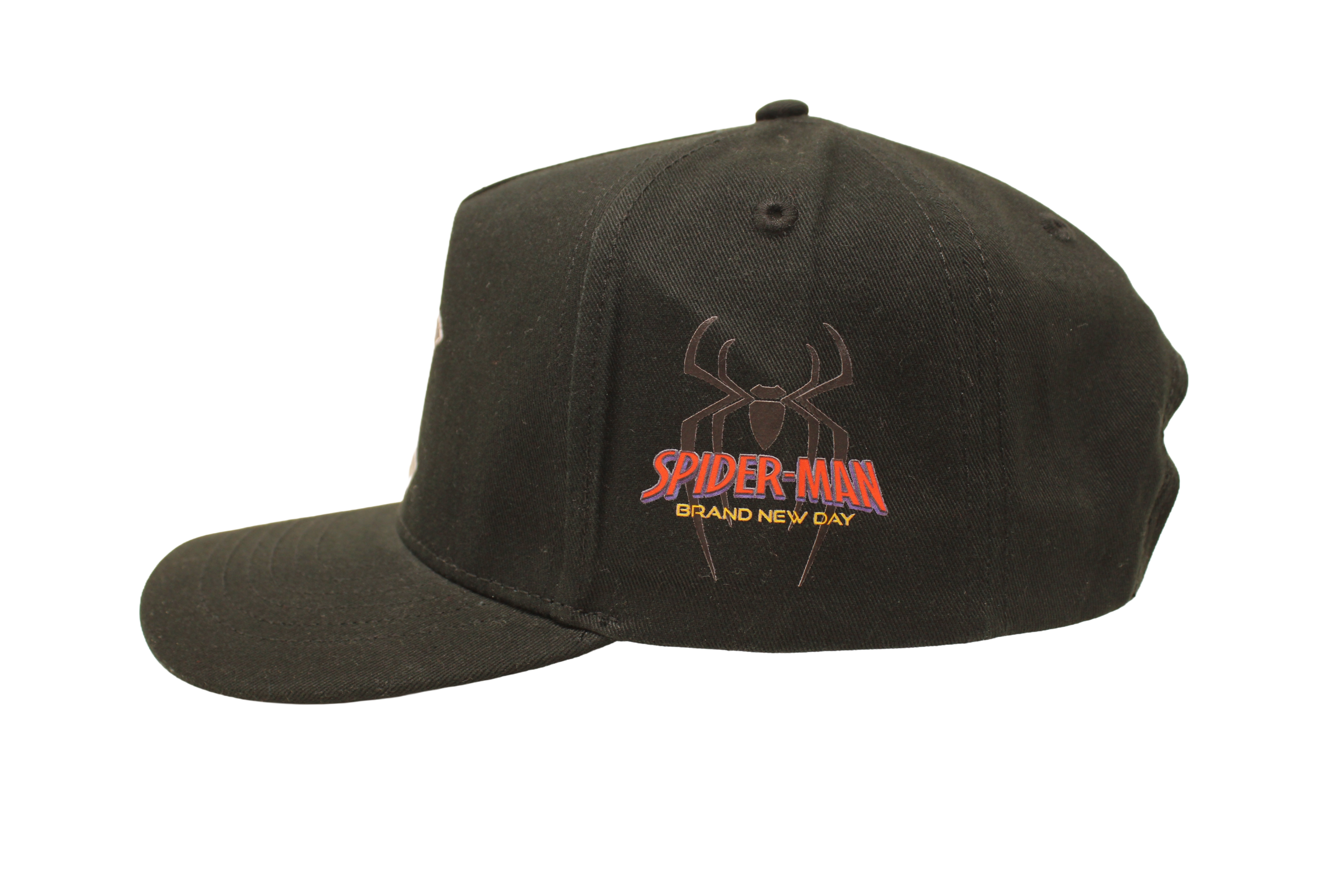 Spidey Brand New Day NY