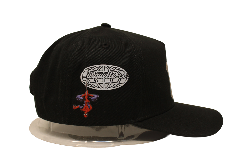 Spidey Brand New Day NY