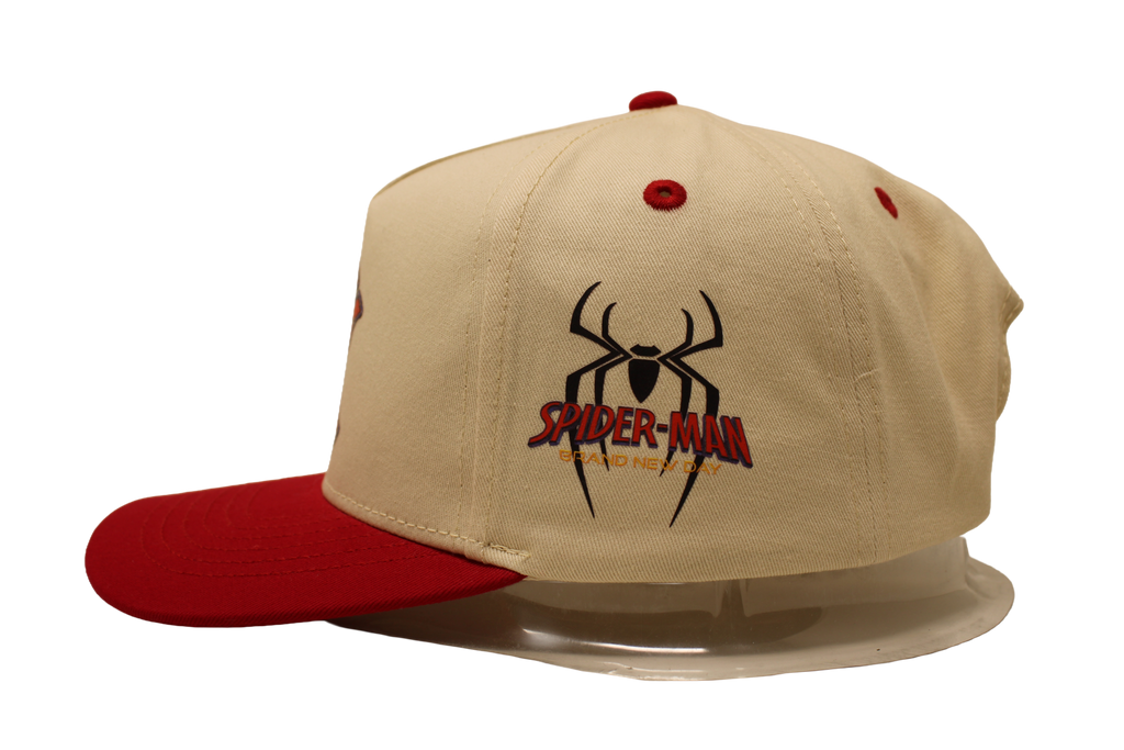 Spidey Brand New Day