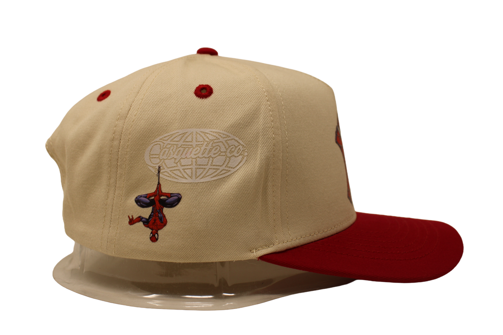 Spidey Brand New Day